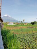 IMG_20240328_081848.jpg