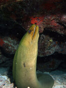 IMG_3138.jpeg