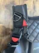 IMG_1299.jpeg