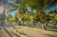 IMG_4718.jpeg