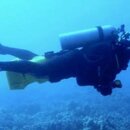Scooter Diver.jpg