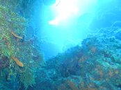 From 80 ft at Palancar Horseshoe.jpg