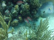 GOPR0968.jpg