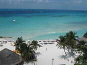 IMG_1598.jpg