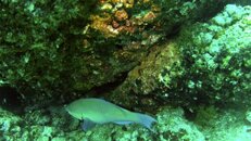 vlcsnap-2012-07-16-09h47m23s44.jpg