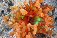 IMG_6409wa.jpg