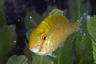 IMG_6478wa.jpg
