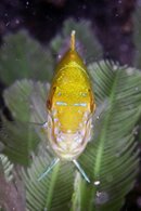 IMG_6479wa.jpg