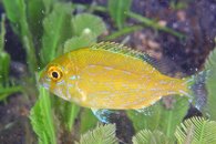 IMG_6490wa.jpg