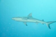 DSC_2926.jpg DSC_2926.jpg
