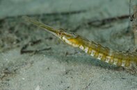 BHB-201207076895.jpg