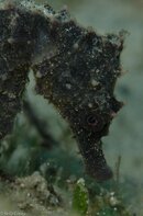 BHB-201207076923.jpg