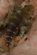 BHB-201207076941.jpg