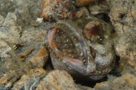 BHB-201207077014.jpg