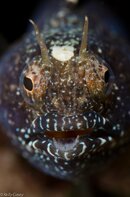 BHB-201207076982.jpg