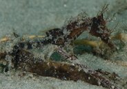 BHB-201207076905.jpg