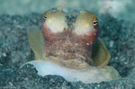 BHB-201207076938.jpg
