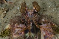 BHB-201207077019.jpg