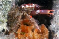 IMG_6680wa.jpg