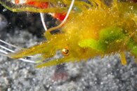 IMG_6881wa.jpg