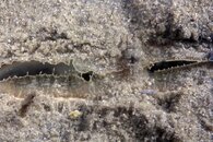 IMG_6630wb.jpg