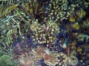 DSCN1158.jpg