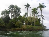 DSCN1225.jpg
