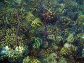 DSCN1170.jpg