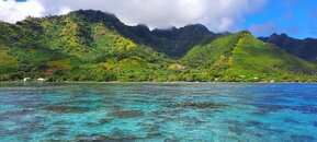 Moorea Coast.jpg