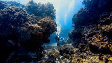 dji_mimo_20240601_144200_20240601144201_1717284286259_photo.jpeg