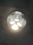 IMG_7768.jpeg