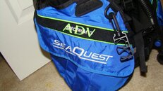 DSC02778.jpg