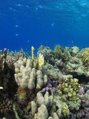 a17-IMG_7880.JPG