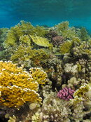 a24-IMG_8135.JPG