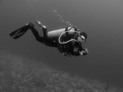 a76-IMG_9475.jpg