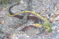 IMG_1836wa.jpg