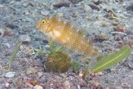 IMG_2034wa.jpg