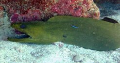 IMG_1265.jpg