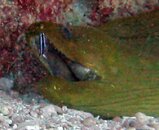 IMG_1261.jpg
