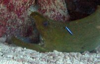 IMG_1262.jpg