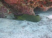 IMG_1264.jpg