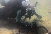 IMG_3430wa.jpg