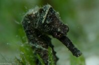 BHB-201207287707.jpg