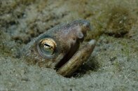 BHB-201207147077.jpg