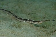 BHB-201207147114.jpg