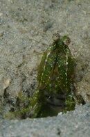 BHB-201207147147.jpg