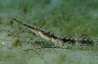 BHB-201207147151.jpg