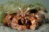 BHB-201207147163.jpg