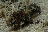 BHB-201207147199.jpg