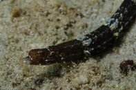 BHB-201207147251.jpg